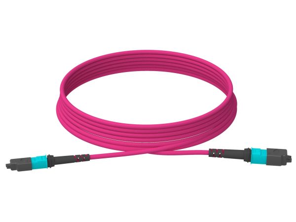 5m (16ft) MTP®-12 (Female) to MTP®-12 (Female) OM4 Multimode Elite Trunk Cable, 12 Fibers, Type A, Plenum (OFNP), Magenta
