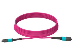 5m (16ft) MTP®-12 (Female) to MTP®-12 (Female) OM4 Multimode Elite Trunk Cable (Color-coded), 12 Fibers, Type A, Plenum (OFNP), Magenta - LONGLINE