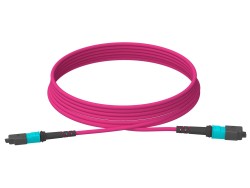 LONGLINE - 5m (16ft) MTP®-12 (Female) to MTP®-12 (Female) OM4 Multimode Elite Trunk Cable (Color-coded), 12 Fibers, Type A, Plenum (OFNP), Magenta