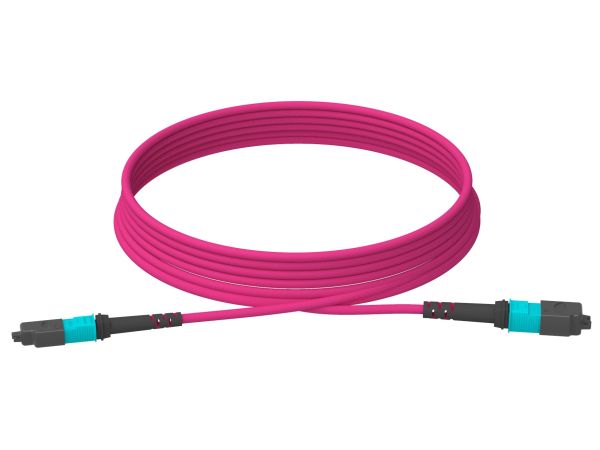 5m (16ft) MTP®-12 (Female) to MTP®-12 (Female) OM4 Multimode Elite Trunk Cable (Color-coded), 12 Fibers, Type A, Plenum (OFNP), Magenta