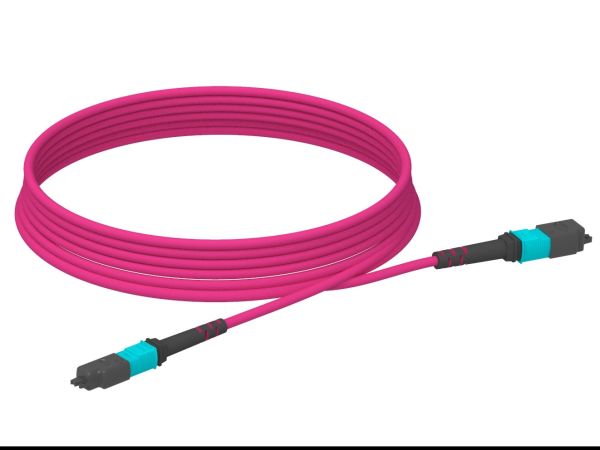 5m (16ft) MTP®-12 (Female) to MTP®-12 (Female) OM4 Multimode Elite Trunk Cable (Color-coded), 12 Fibers, Type A, Plenum (OFNP), Magenta