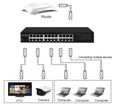 Entegron 24-Port 10/100Mbps Masaüstü Switch Metal Kasa ENTDS100-24 - 3