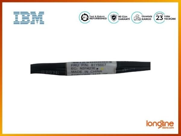 IBM X3550 M4 SFF 2.5 HDD BACKPLANE 81Y6667 81Y6666 Cable