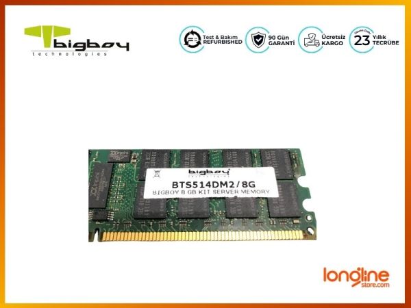 BIGBOY 4GB PC2-3200 DDR2-400MHZ ECC REG CL3 240-PIN DIMM DUAL RANK BTS514DM2/8G Server - 2