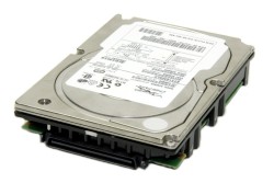 HITACHI - HITACHI 146GB 15K U320 80PIN HUS151414VL3800