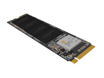 Longline 1TB NVMe M.2 Sata SSD 2500/1700MB/s LNG2500NV/1TB - 4