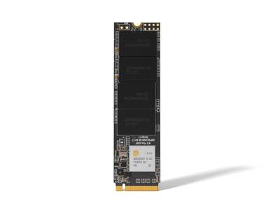 Longline 1TB NVMe M.2 Sata SSD 2500/1700MB/s LNG2500NV/1TB