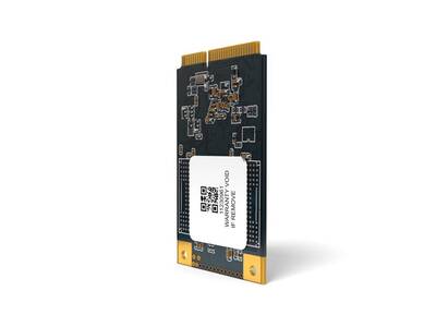 Longline 240GB mSATA SSD 520/420MB/s LNG500MS/240GB