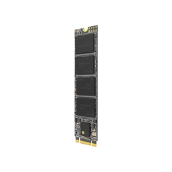 LONGLINE - Longline 256GB M.2 Sata SSD 520/420MB/s 2280 NGFF LNG500M2/256GB (1)