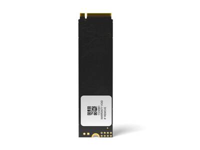 Longline 256GB NVMe M.2 Sata SSD 2100/1300MB/s LNG2100NV/256GB - 2