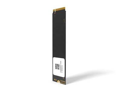 Longline 256GB NVMe M.2 Sata SSD 2100/1300MB/s LNG2100NV/256GB - 4