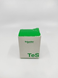 Schneider Tesy 038614 Time delay block - SCHNEIDER (1)